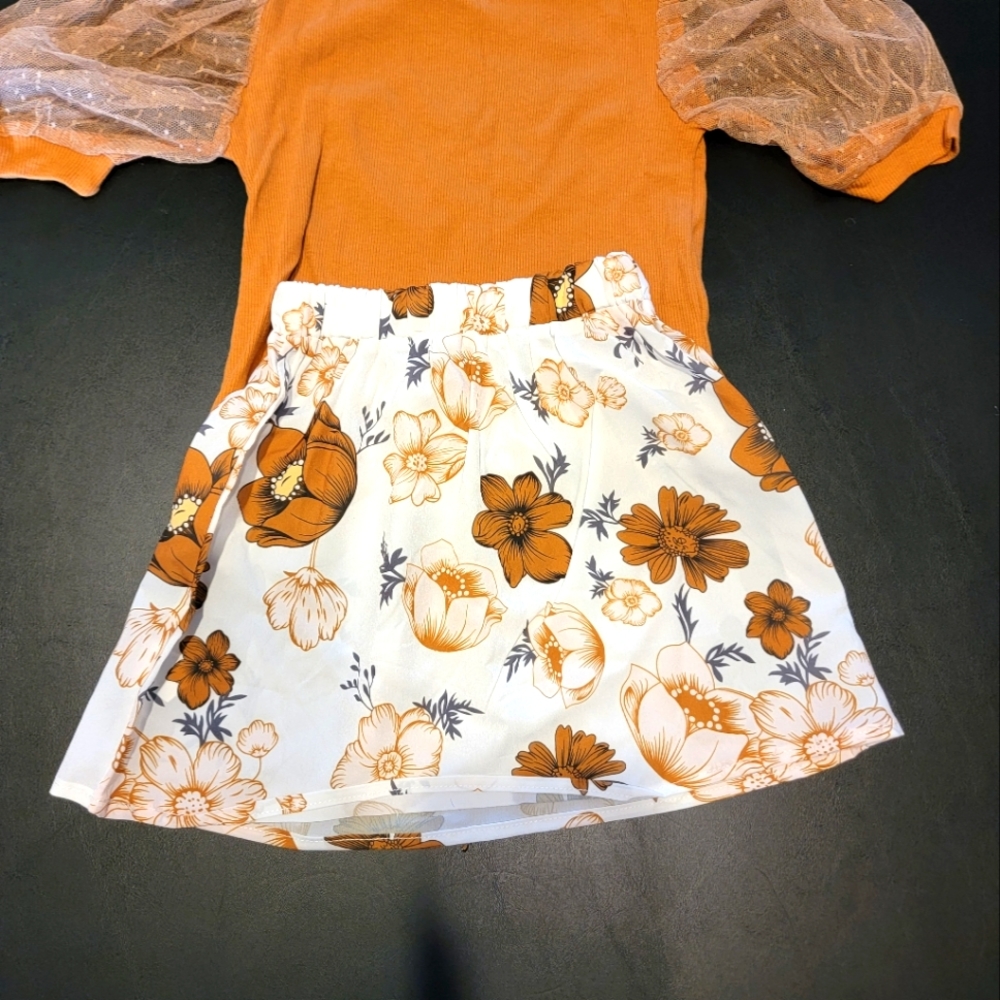 Girls 3t skirt set